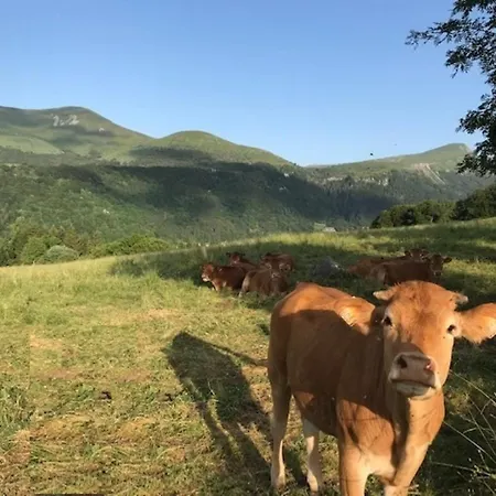 - T3 Avec Terrasse, Proche Centre, 5 Personnes - Fr-1-608-128 Lejlighed