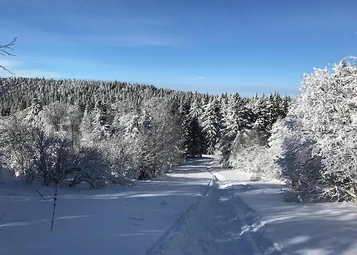 - T3 Avec Terrasse, Proche Centre, 5 Personnes - Fr-1-608-128 Appartement La Bourboule